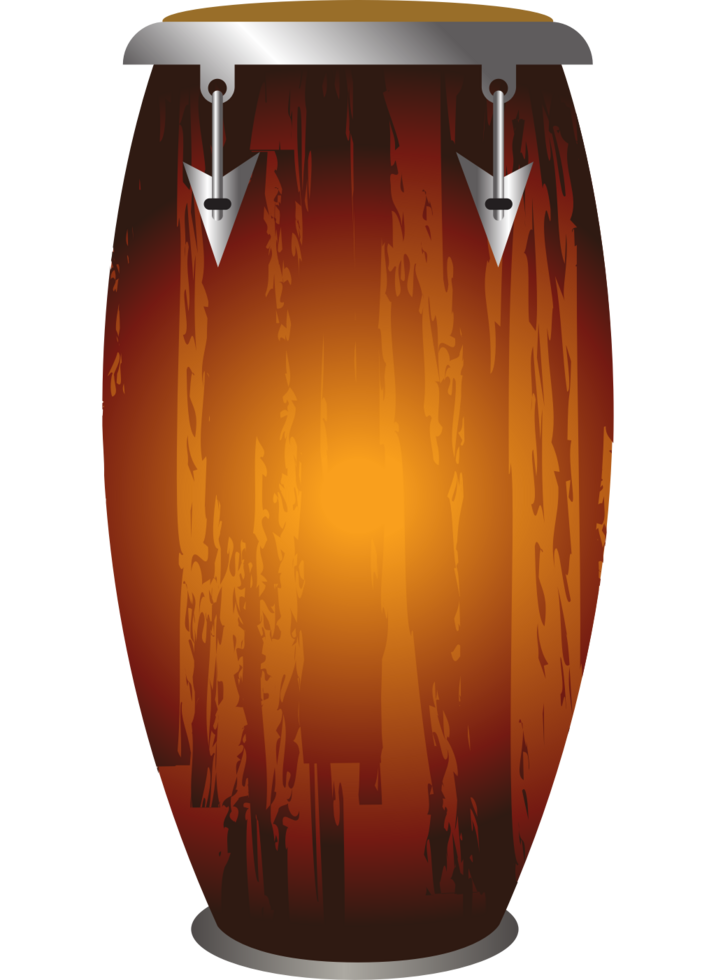 Percussion instrument conga vector