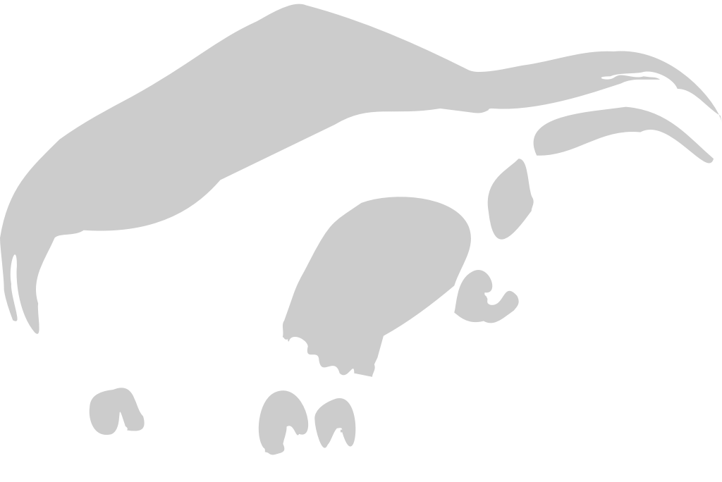 Taurus vector