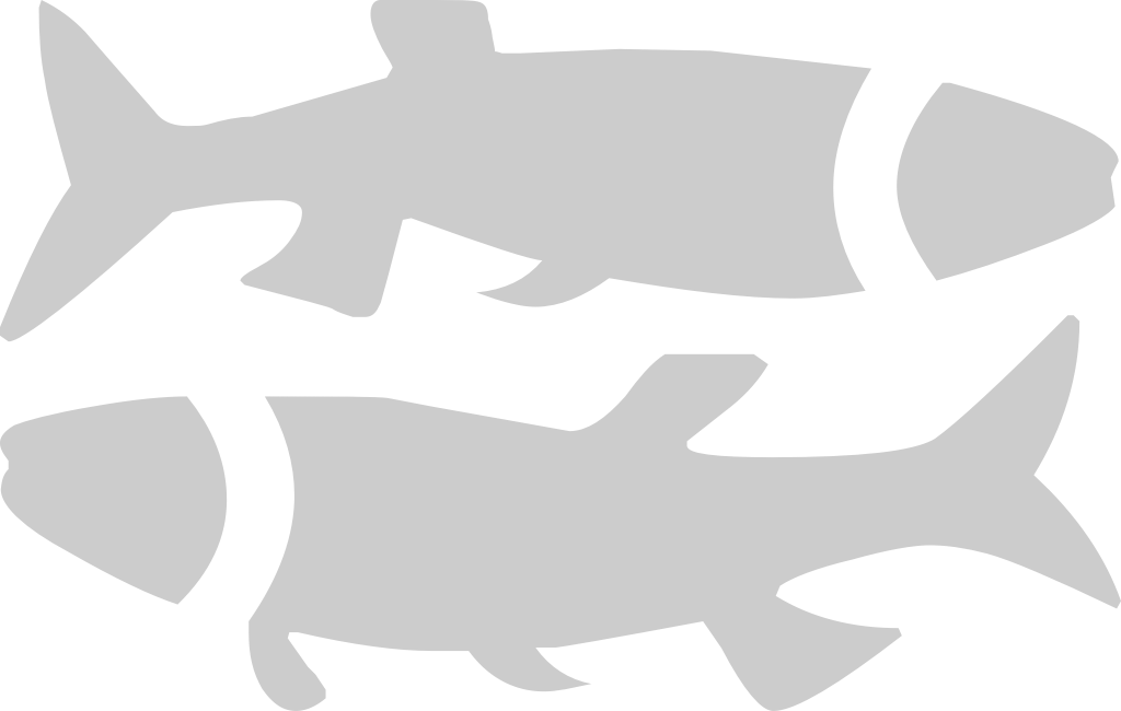 Pisces vector