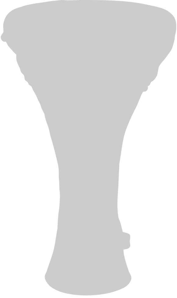 Percussion instrument djembe vector