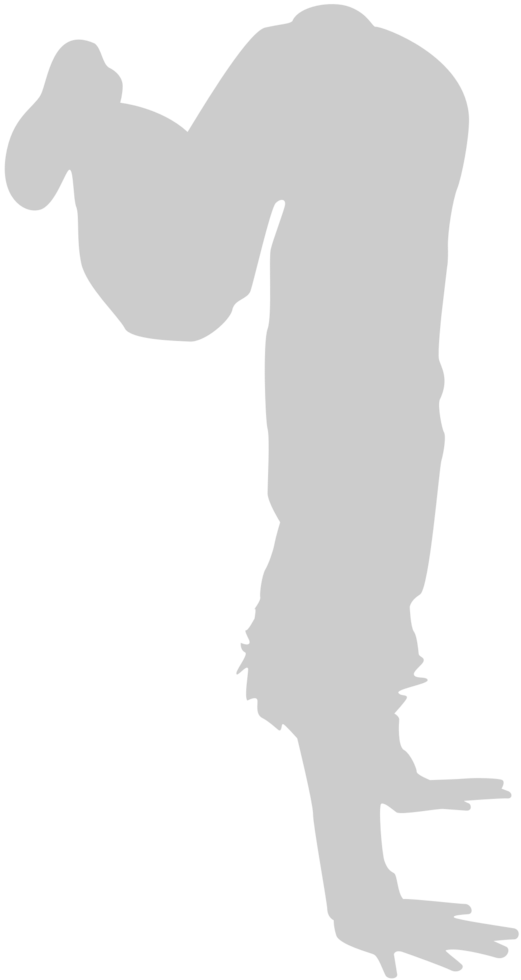 Breakdancer vector