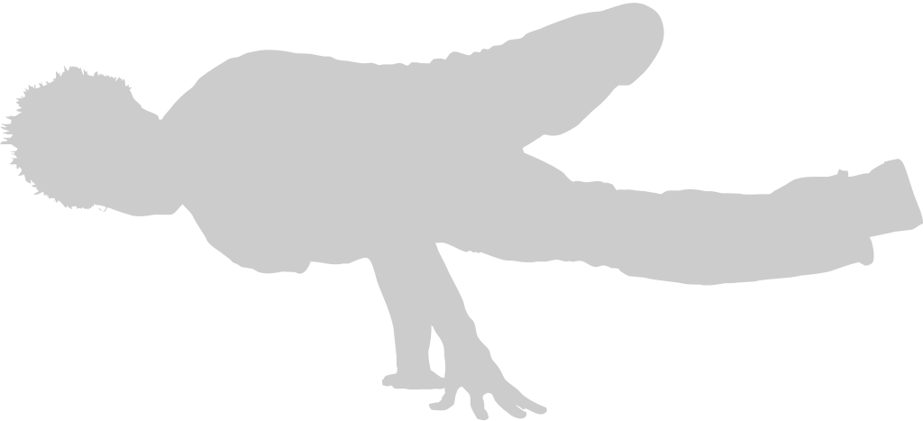 Breakdancer vector