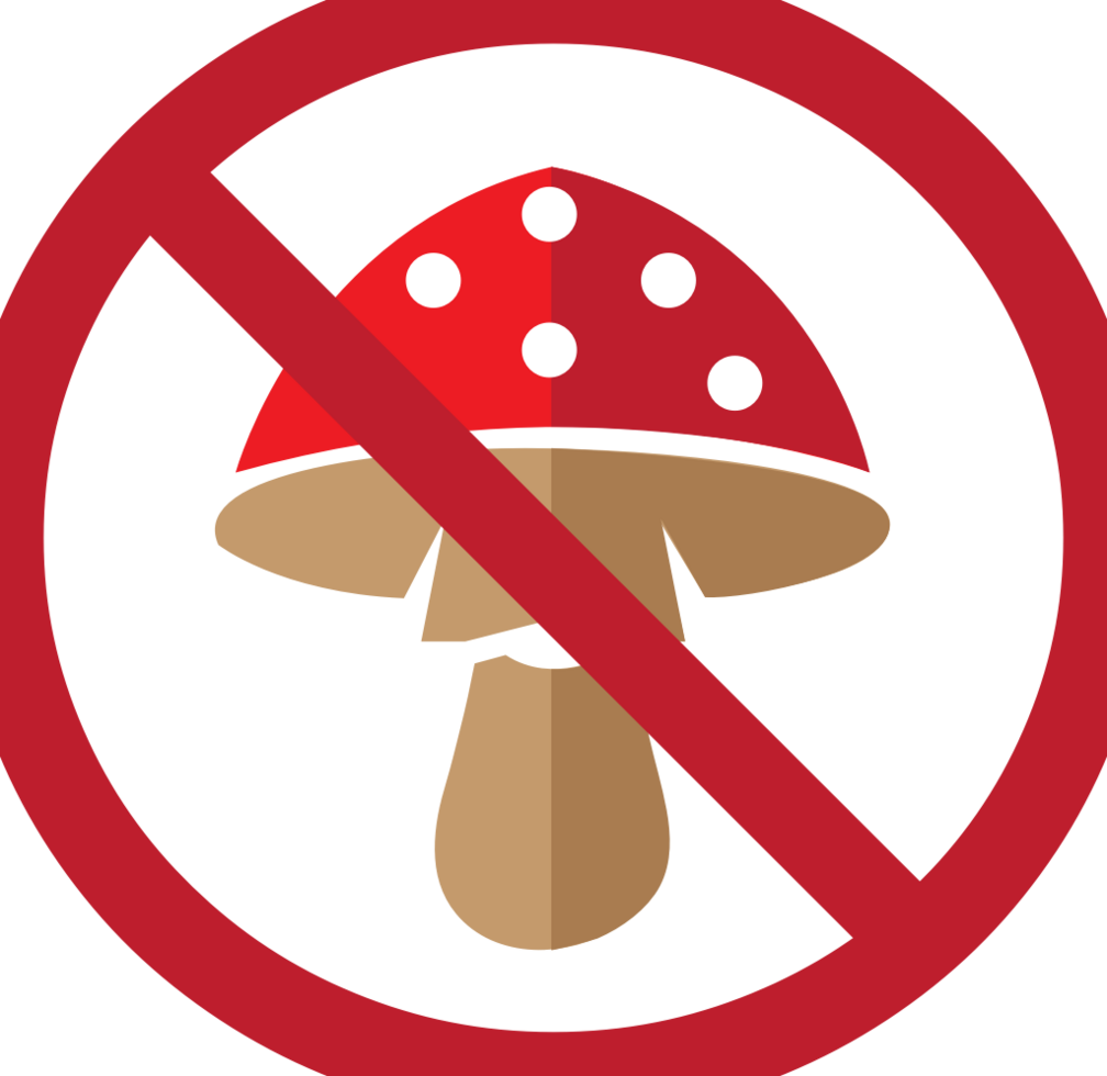 No drugs mushroom vector