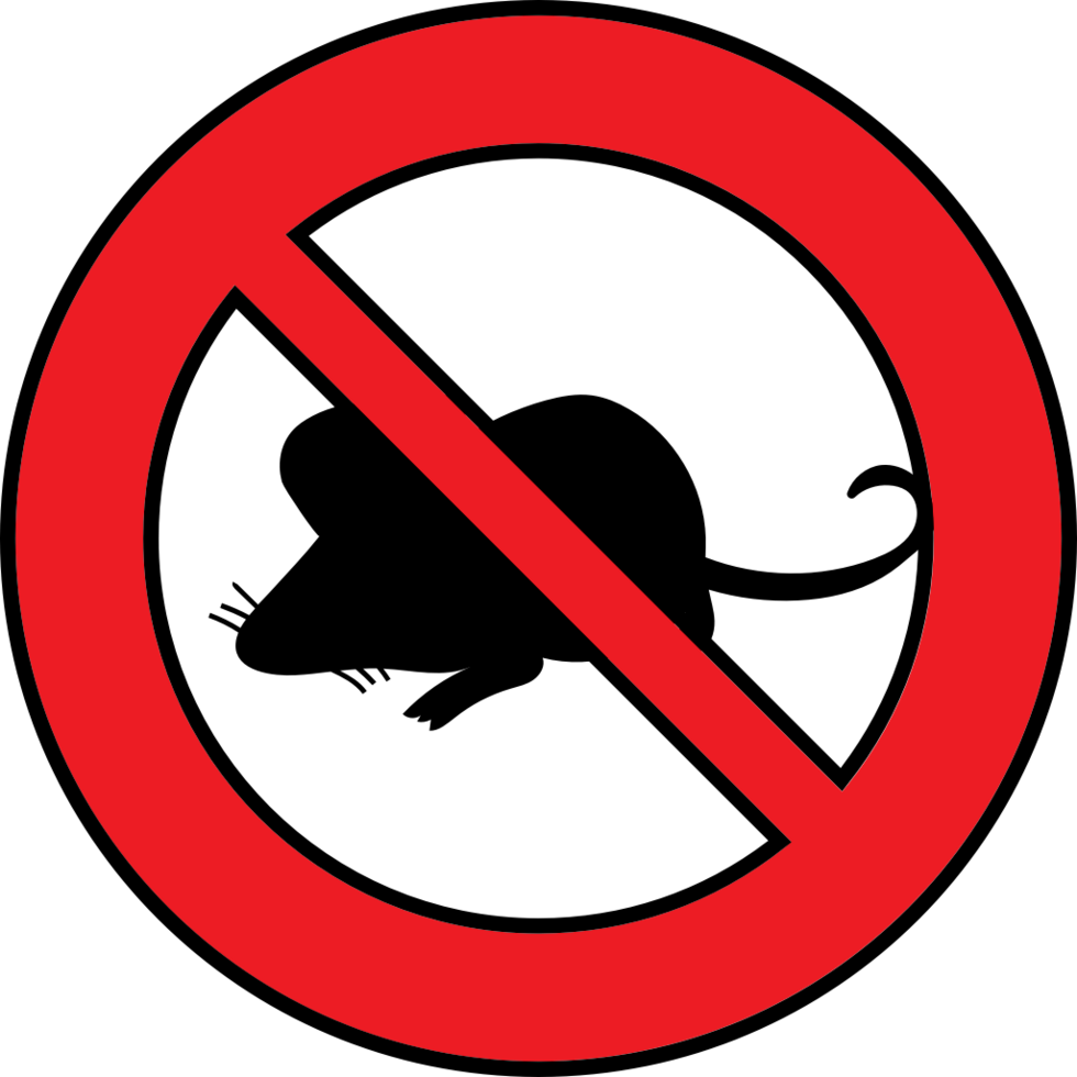 Pest control mouse 36652819 Vector Art at Vecteezy