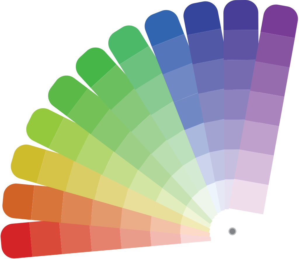 Rainbow color swatch vector