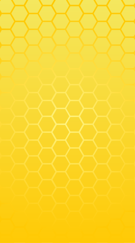 Rectangle honey comb  vector