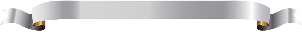 Silver and gold ribbon vector