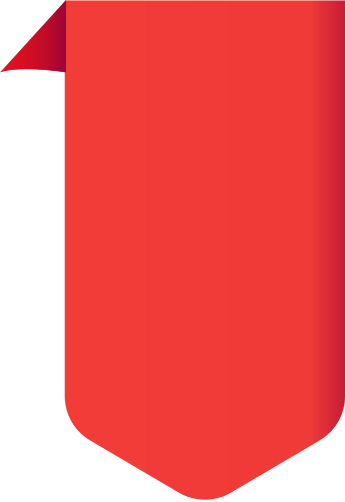 Bright color banner vector