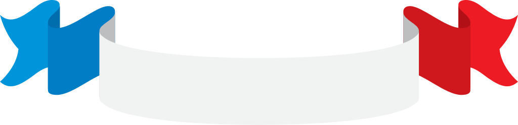 France ribbon vector