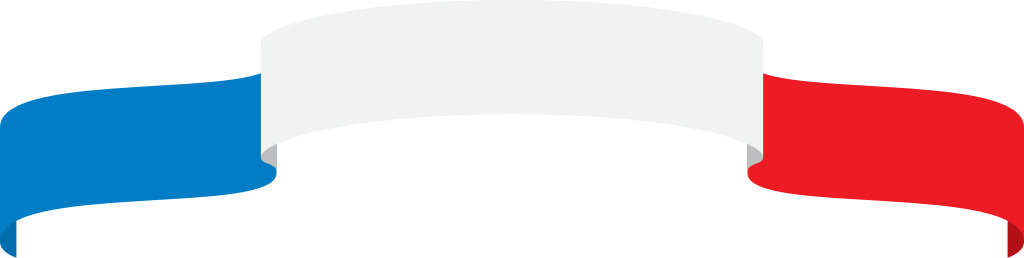 France ribbon vector