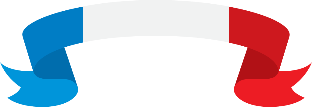 France ribbon vector