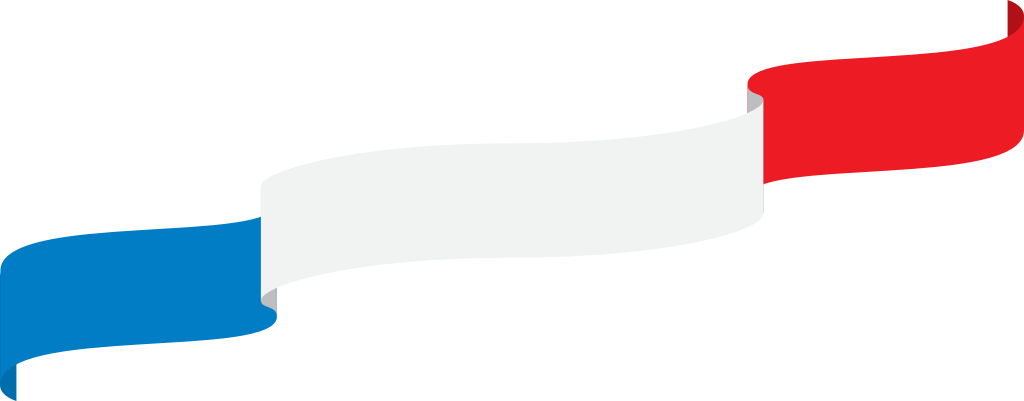 France ribbon vector