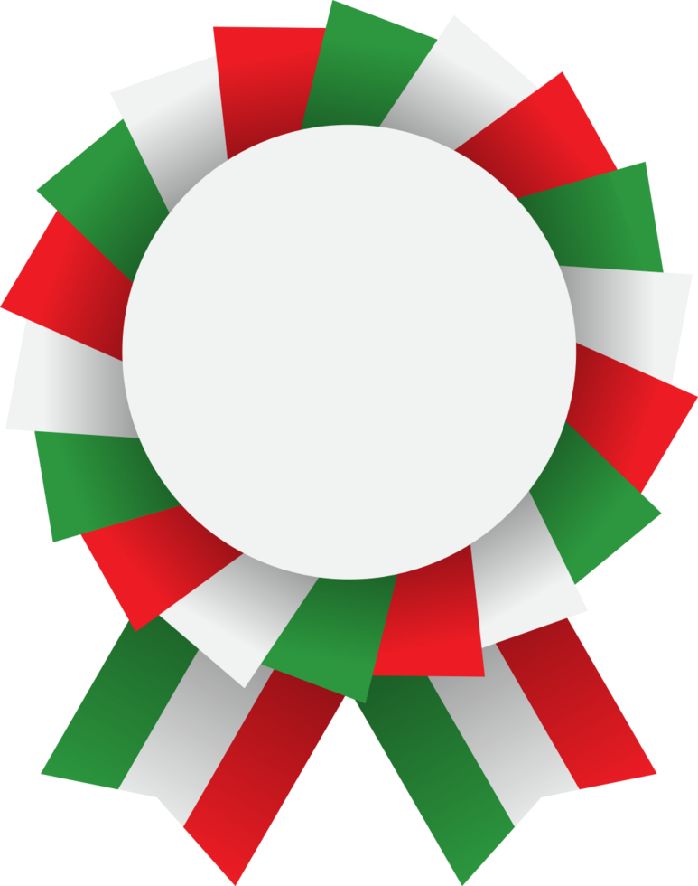 Italy ribbon vector