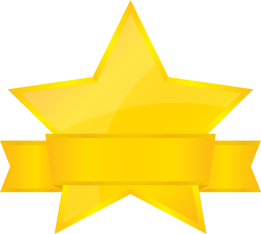 Gold star vector