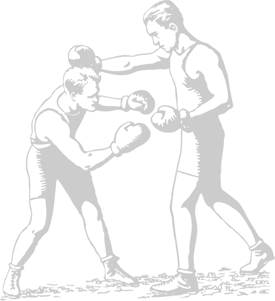 Boxing vector