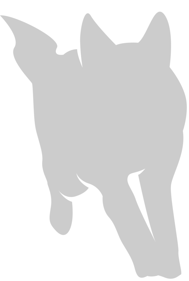Wolf vector