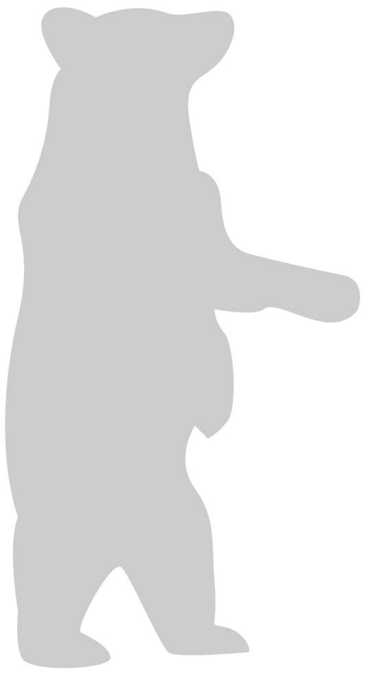 Bear standing vector