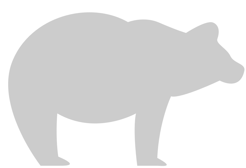 Bear vector