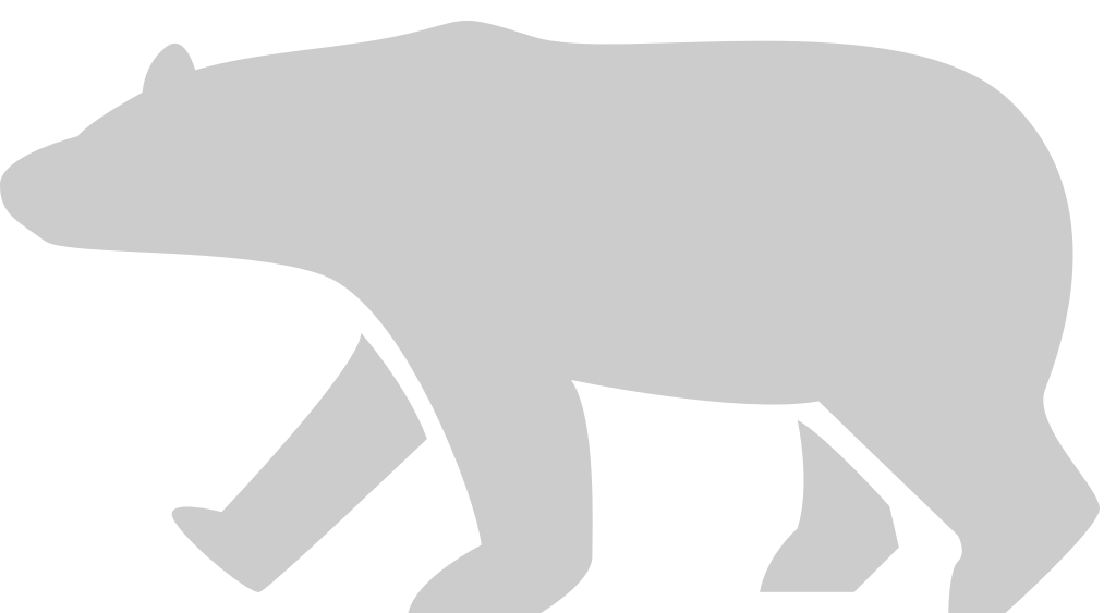 Bear vector