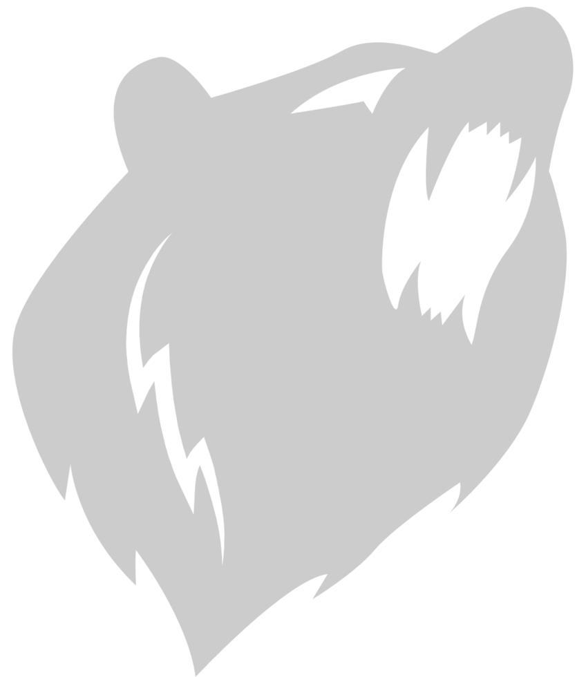 Bear vector