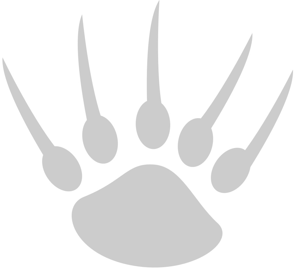 Bear vector
