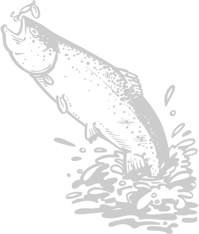 Fish vector