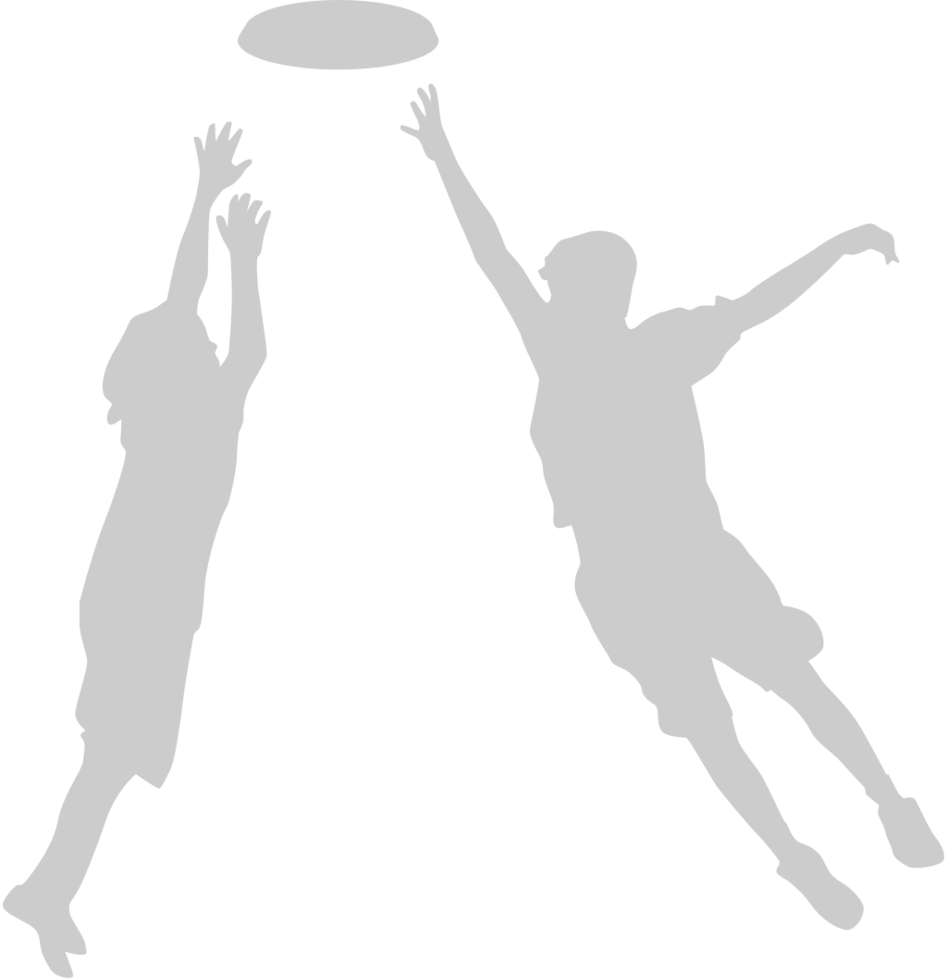 Frisbee vector