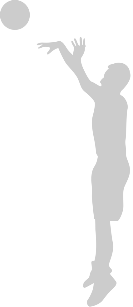 Basketball vector
