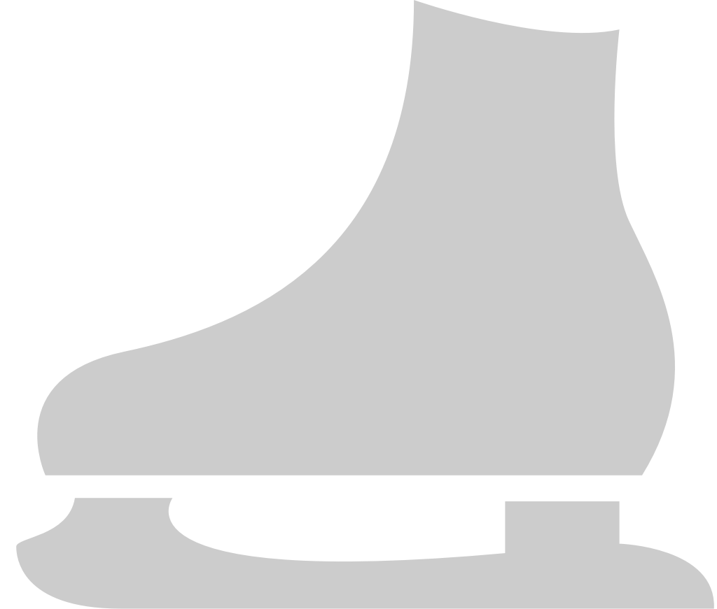 Skates vector