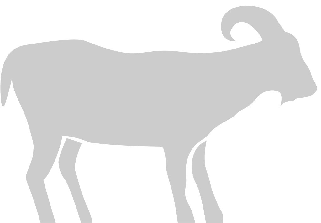 Sheep vector