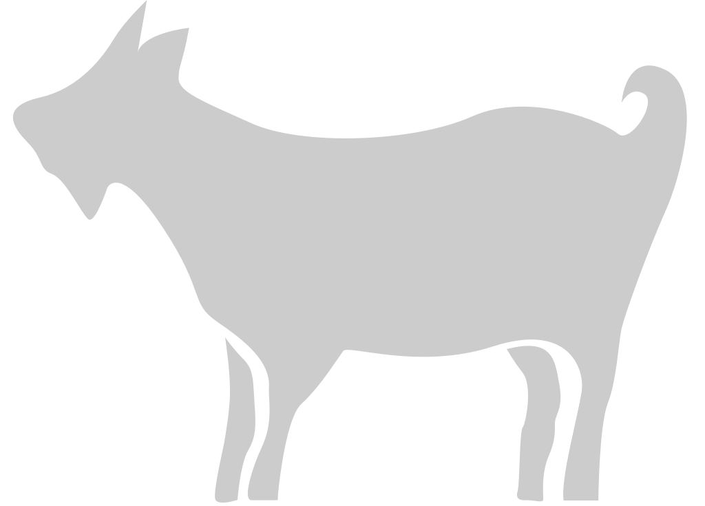 Sheep vector