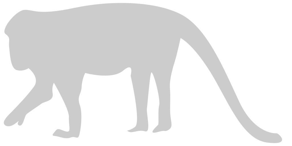 Monkey vector