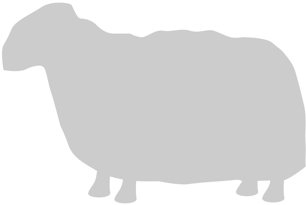 Sheep vector