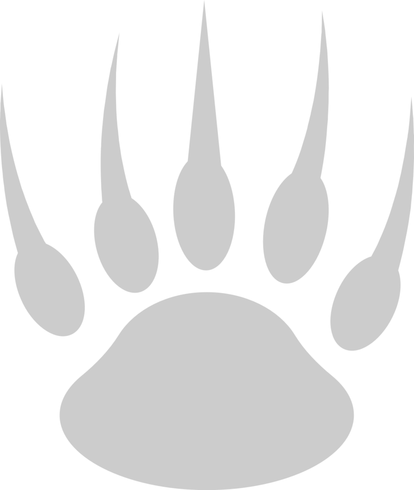 paw vector