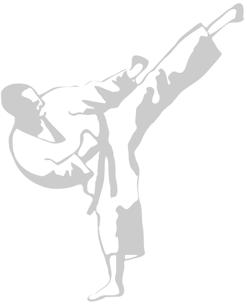 Martial Arts vector