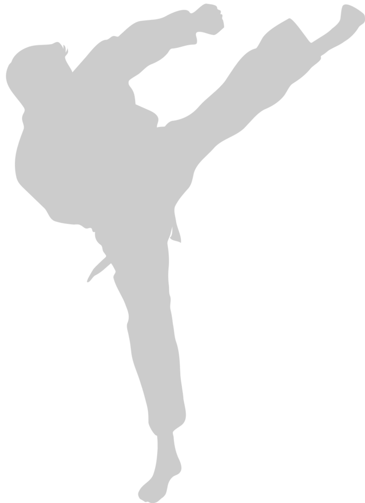 Martial Arts vector