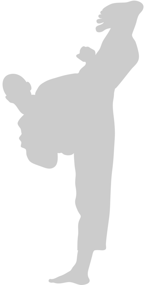 Martial Arts vector