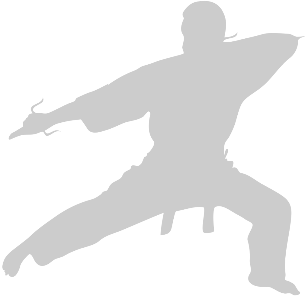 Martial Arts vector