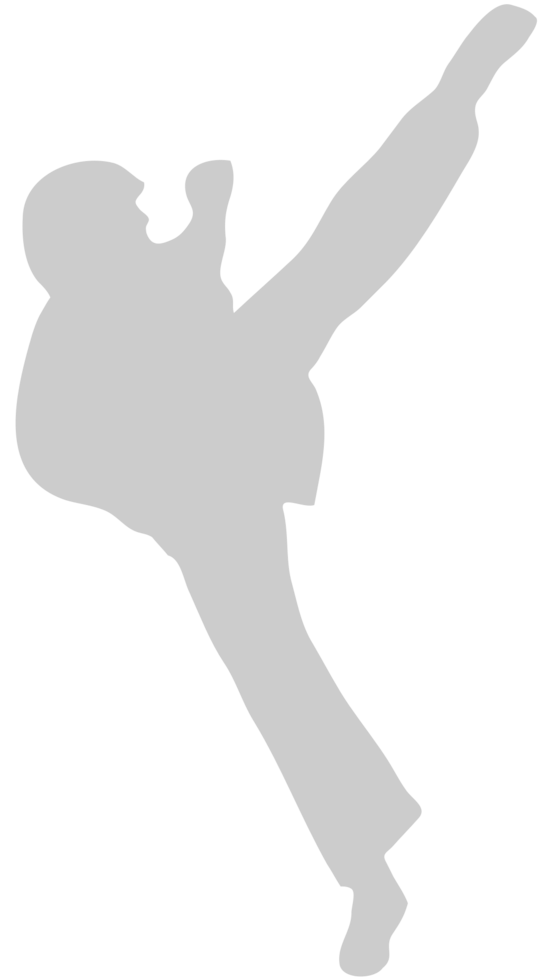 Martial Arts vector