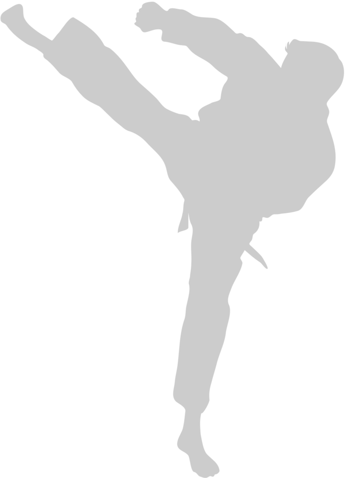 Martial Arts vector