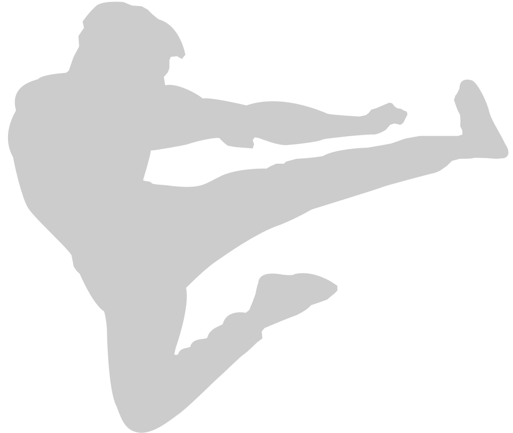 Martial Arts vector