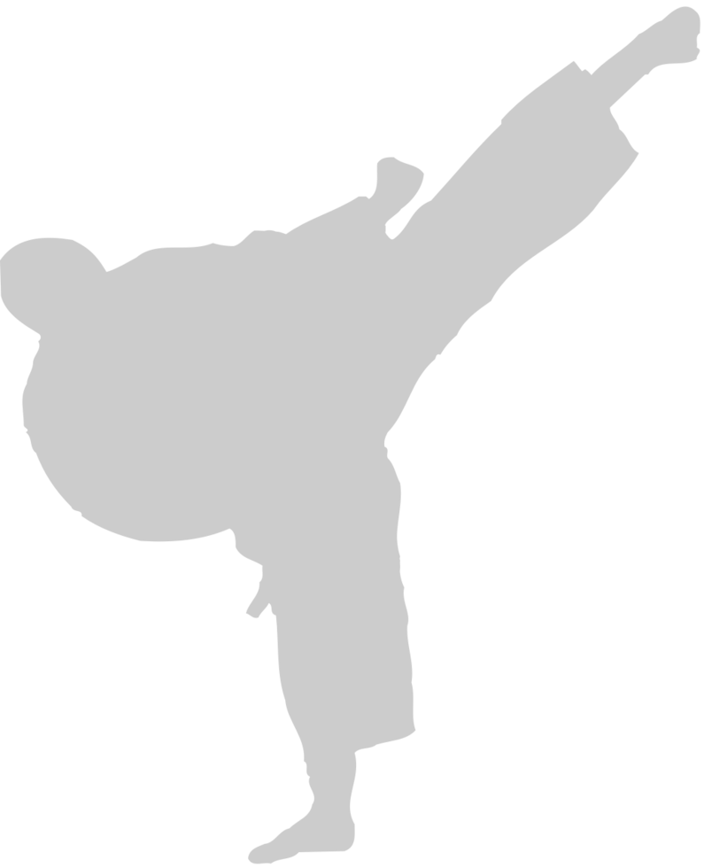 Martial Arts vector