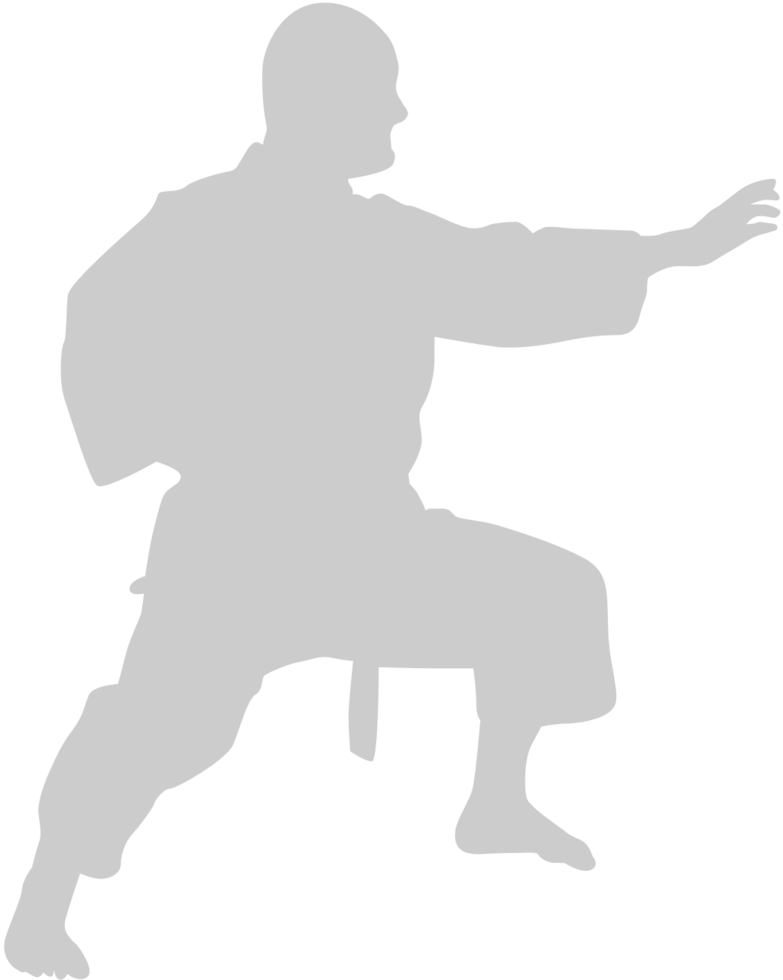Martial Arts vector