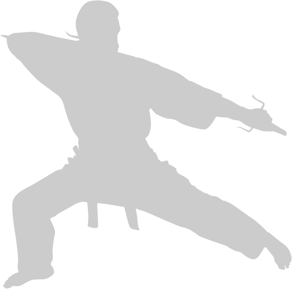 Martial Arts vector