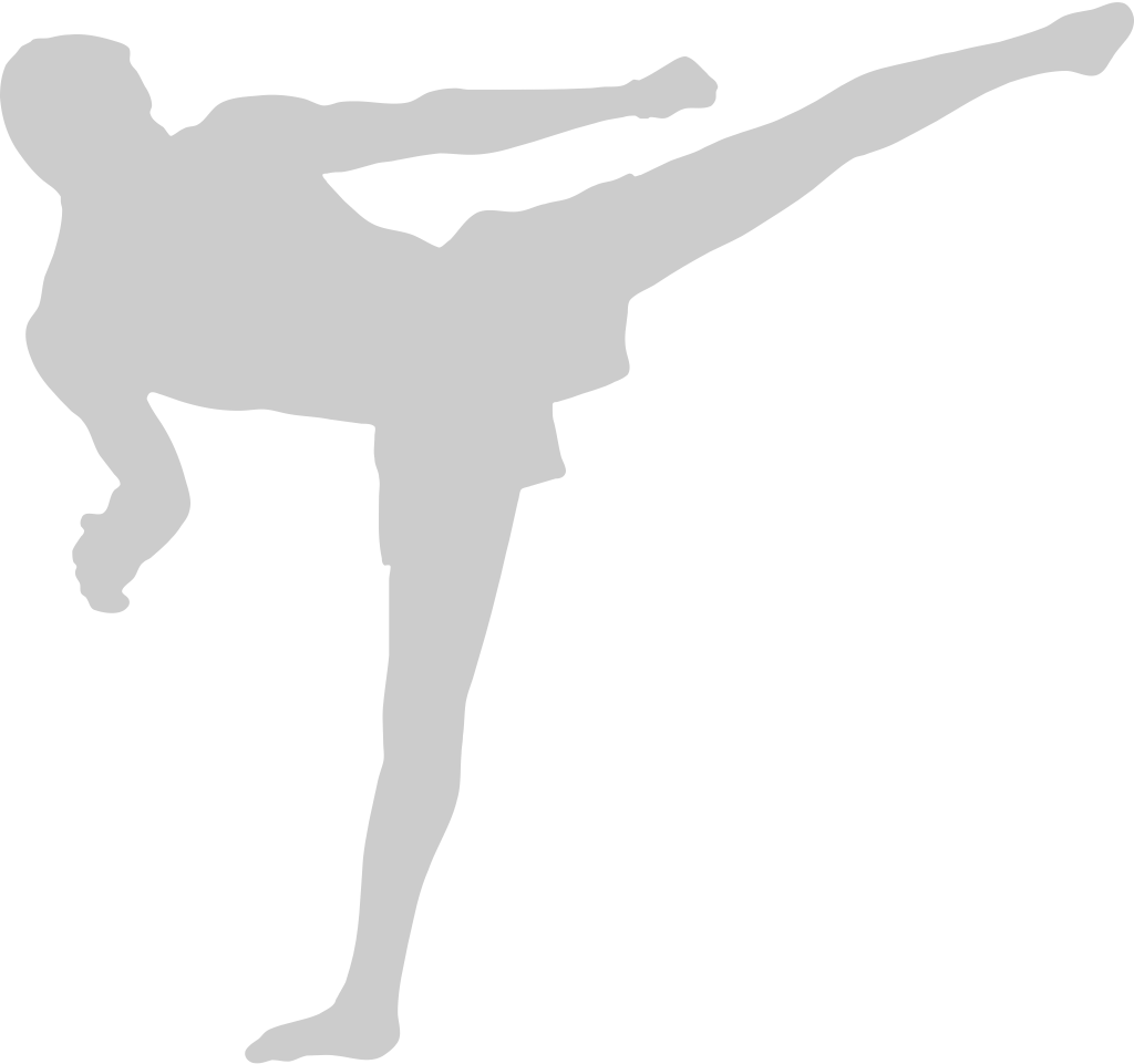 Martial Arts vector