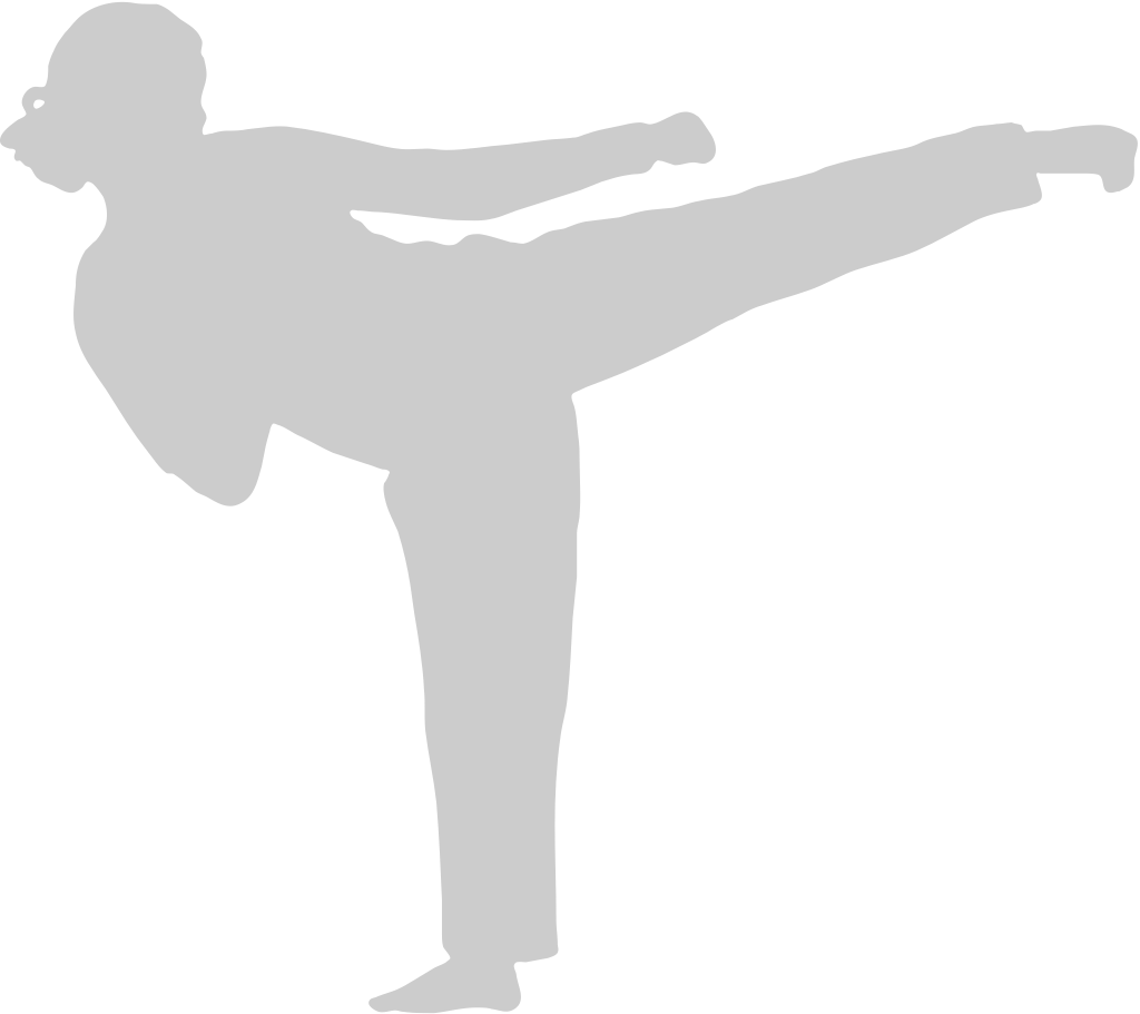 Artes marciales vector