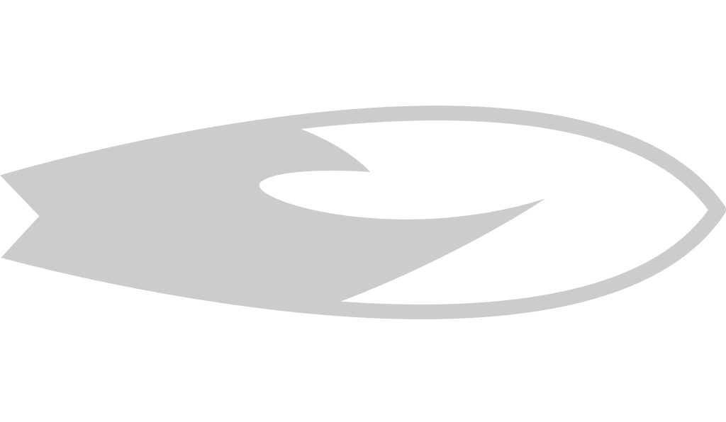 Surfing vector