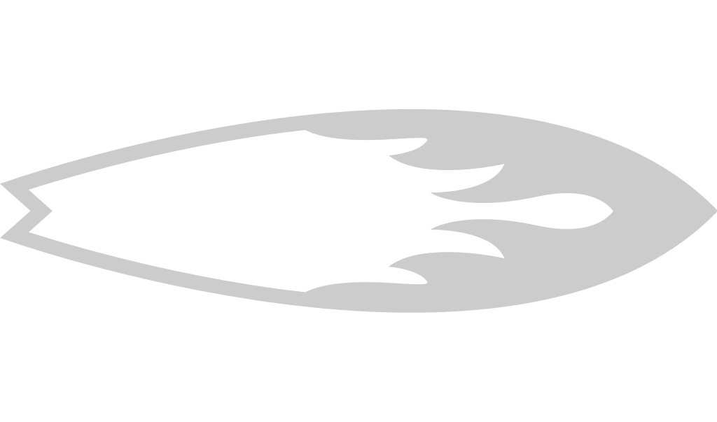 Surfing vector