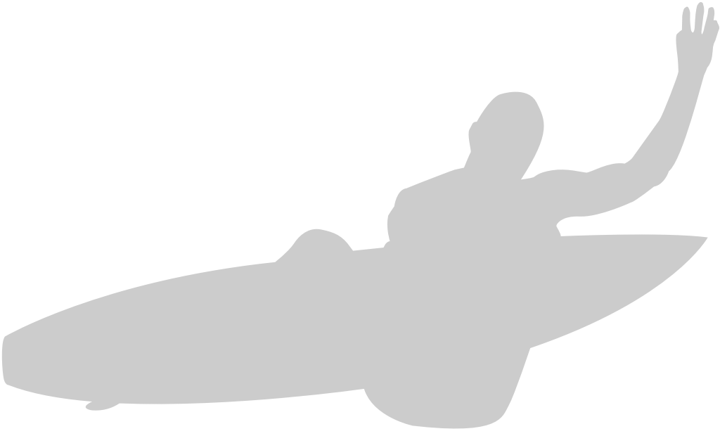 Surfing vector