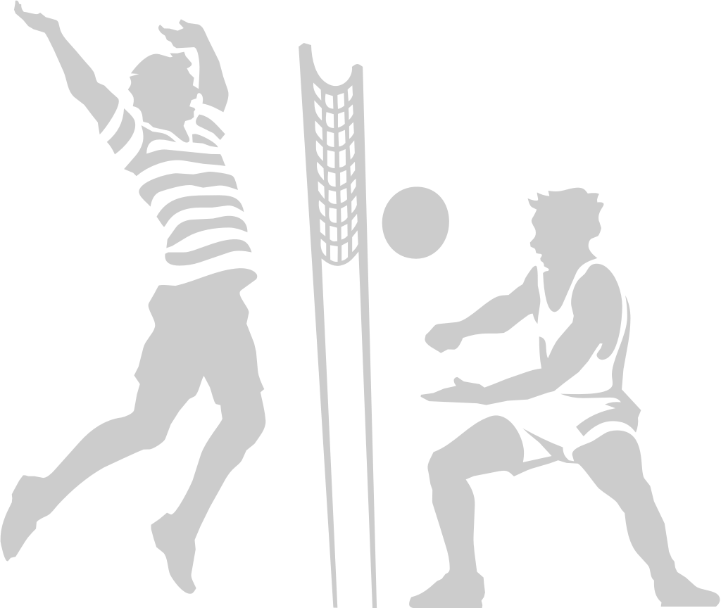 Volleyball vector